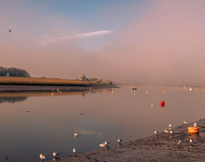 Morning Mist Sun Calm Boats Gulls Exe Photo Download
