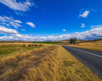 Australia NSW Tenterfield, Country Landscape Photo Download, Aussie Fields and Vineyards, High Res Fine Art Gift Boho Wall Decor, Fine Art