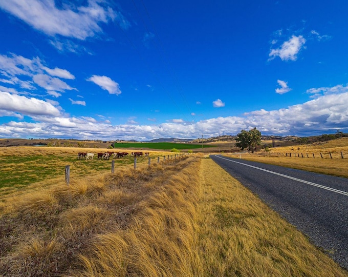 Australia NSW Tenterfield, Country Landscape Photo Download, Aussie Fields and Vineyards, High Res Fine Art Gift & Boho Wall Decor