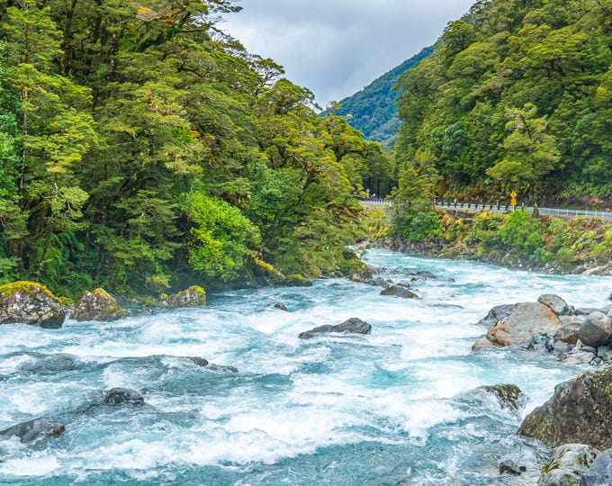 Vibrant Blue River Photo | New Zealand South Island Print | Stunning Landscape Download | Travel Wall Art | Nature Gift Idea| NZ Decor