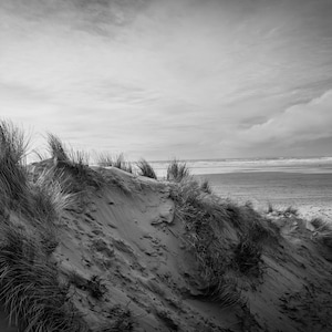 May include: A black and white photo of a sand dune with tall grass growing on it. The dune is in the foreground and the ocean is in the background.