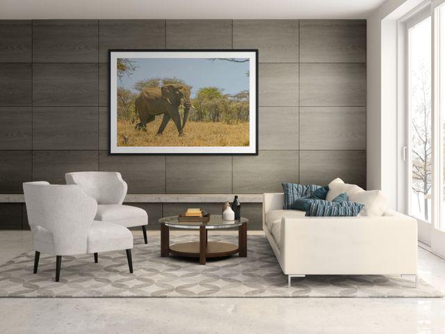 gallery photo