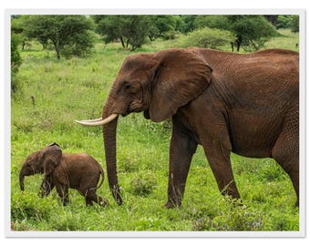 Serengeti Elephants Framed Print