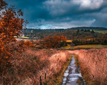 Devon Coast Wetlands Print: Moody Dark Sky Nature Photography (Digital Download)