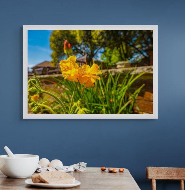 gallery photo