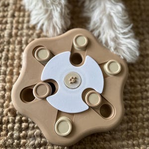 Intelligence game for dogs and cats | Search game | Treat game