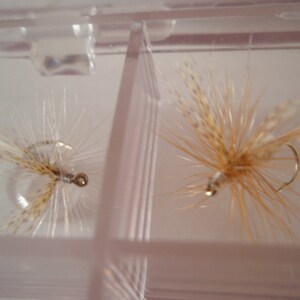 May include: Two fishing flies with gold hooks and tan and white feather details are displayed inside a clear plastic container. The flies are designed to mimic insects and are used to catch fish.
