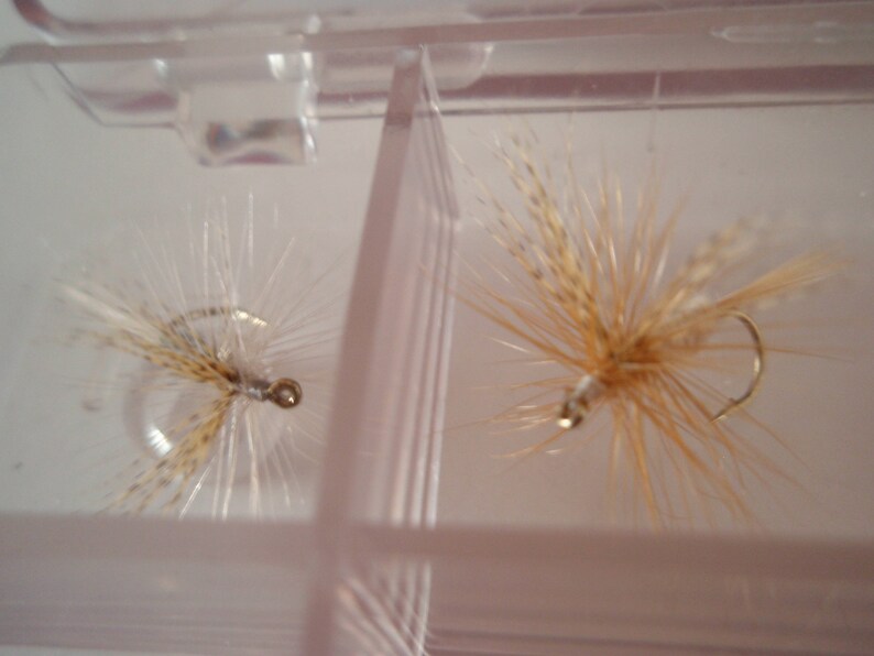 May include: Two fishing flies with gold hooks and tan and white feather details are displayed inside a clear plastic container. The flies are designed to mimic insects and are used to catch fish.