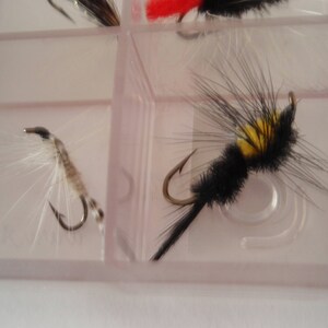 May include: Close-up of two fishing flies in a clear plastic container. One fly is light brown and white, the other is black with yellow accents. The flies have curved hooks and are designed for fly fishing.