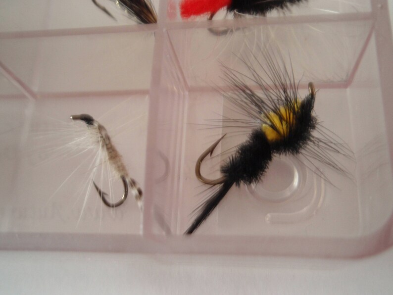May include: Close-up of two fishing flies in a clear plastic container. One fly is light brown and white, the other is black with yellow accents. The flies have curved hooks and are designed for fly fishing.