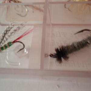 May include: Close-up of two fishing flies in a clear plastic container. One fly has silver, green, and red accents with a curved hook. The other fly is gray and black with a curved hook. Fly fishing equipment.