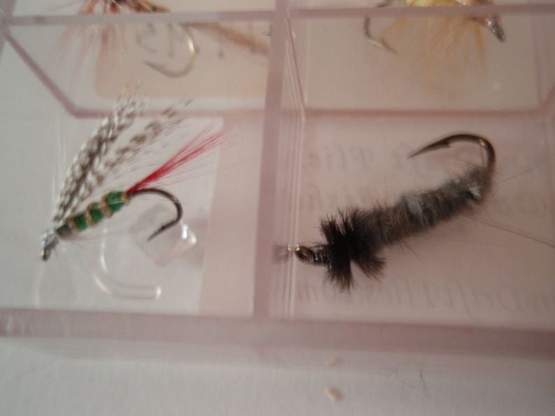 May include: Close-up of two fishing flies in a clear plastic container. One fly has silver, green, and red accents with a curved hook. The other fly is gray and black with a curved hook. Fly fishing equipment.