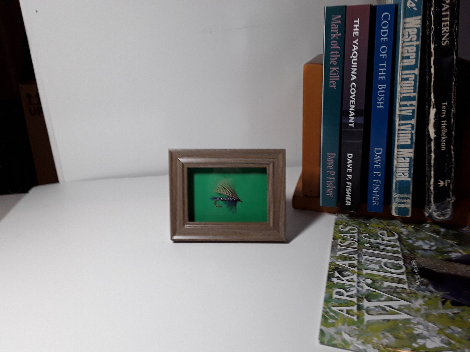 Purple Peril, Steelhead Desk Display. - Etsy