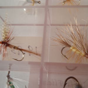 May include: Close-up of a clear plastic box containing several fishing flies. The flies are made with various materials, including feathers and synthetic fibers, in shades of brown, tan, and white. Each fly has a small, curved hook.