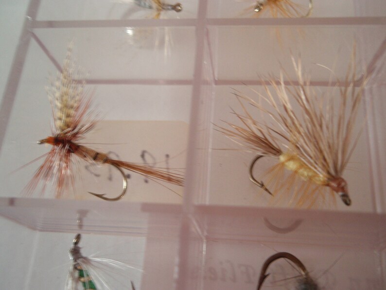 May include: Close-up of a clear plastic box containing several fishing flies. The flies are made with various materials, including feathers and synthetic fibers, in shades of brown, tan, and white. Each fly has a small, curved hook.