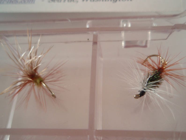 May include: Two artificial fishing flies displayed in a clear plastic container. The flies have intricate designs with brown, white, and orange fibers, and small metal hooks. The flies are designed to mimic insects and attract fish.