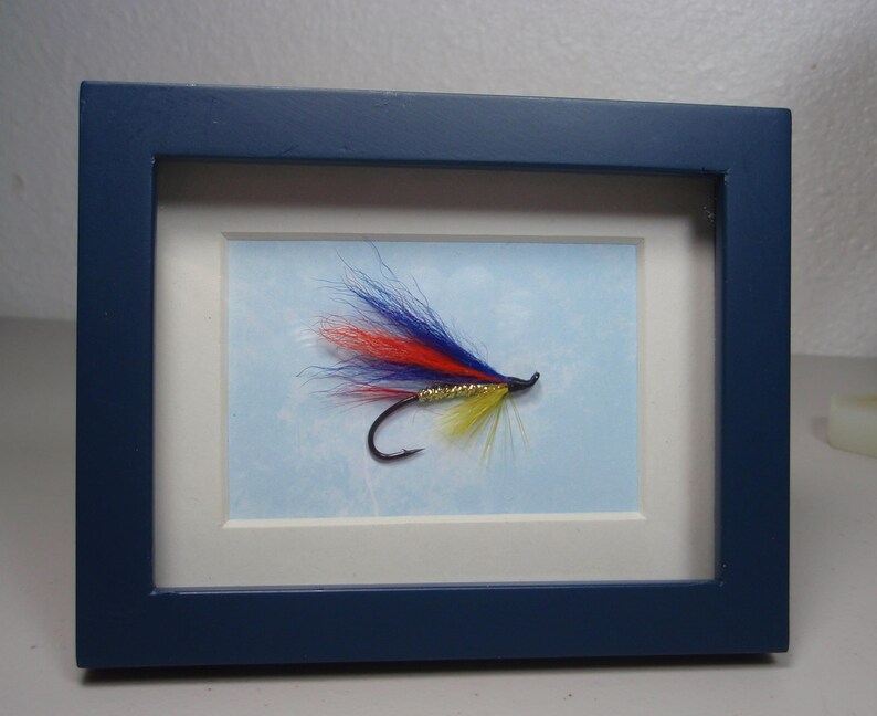 Denali Rogue Pacific Salmon Fly Desk Display Fly Fishing Desk Etsy