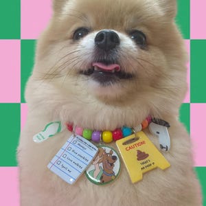 Etiquetas de identificación para mascotas de acrílico, etiquetas de identificación para mascotas con dijes de acrílico, etiquetas para gatos, etiquetas para perros, lindas ideas de regalos para mascotas, lindo accesorio de collar para mascotas, collar de cuentas para mascotas