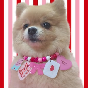 Etiquetas de identificación para mascotas de resina acrílica, etiquetas de identificación para mascotas con dijes acrílicos, etiquetas para gatos, etiquetas para perros, lindas ideas de regalos para mascotas, lindo accesorio para collar para mascotas, lindo collar para mascotas