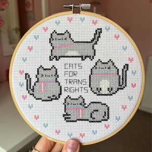 Op de afbeelding: Een witte borduurring met een kruissteekontwerp van vier grijze katten met roze en blauwe strepen. De katten zijn in een cirkel rond de tekst "Cats for Trans Rights" gerangschikt.