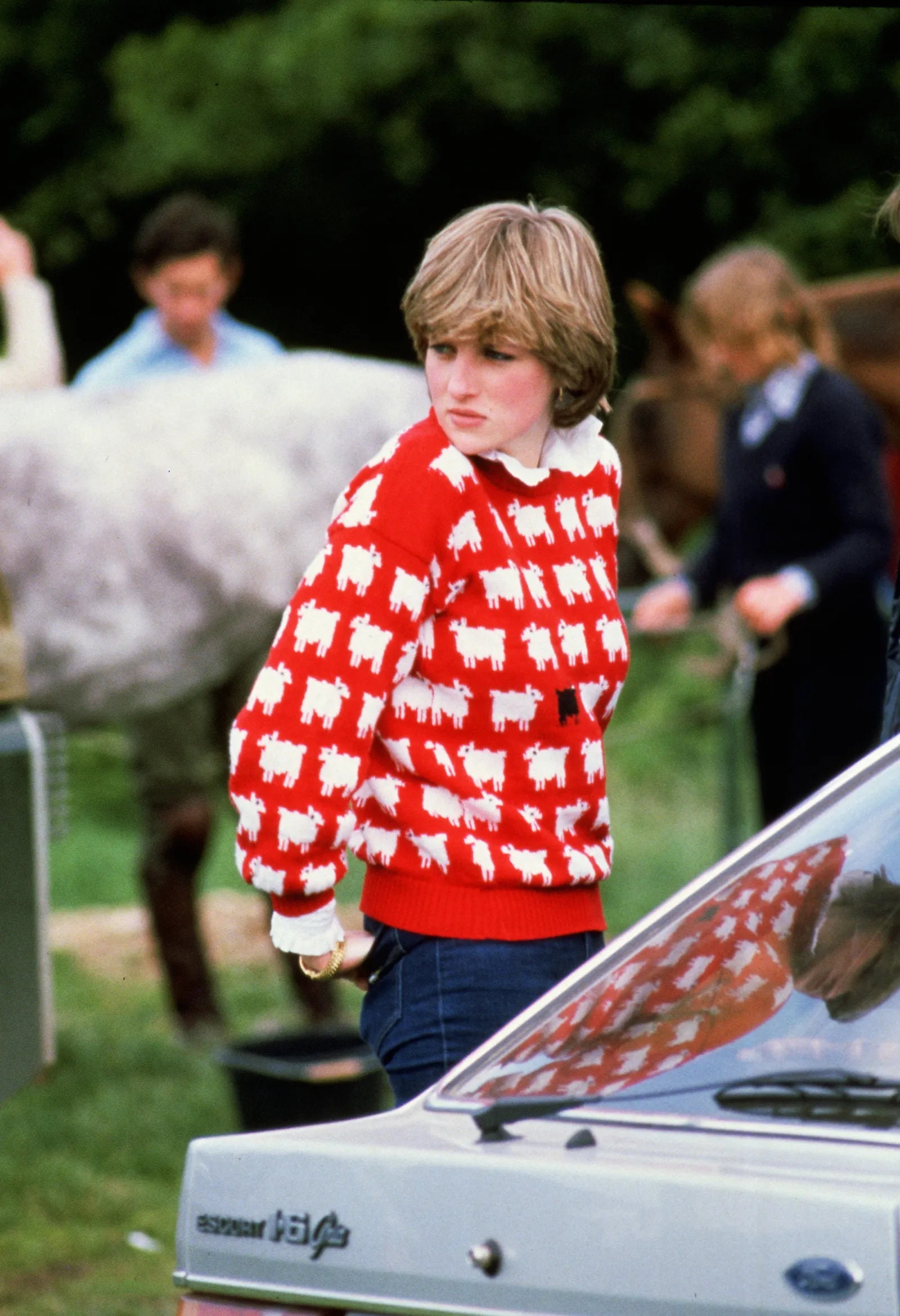 Sheep Sweater Etsy Canada