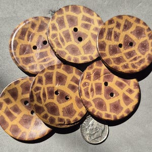 6 ANIMAL PRINT COCONUT Shell Buttons