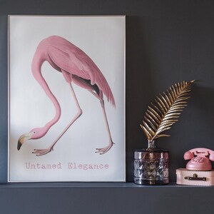 Poster "Untamed Elegance Flamingo", stampa animalier minimal chic per un arredamento tranquillo, elegante decorazione murale con uccelli, download digitale, decorazione murale con uccelli