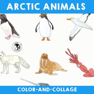 Collage de animales del Ártico: Manualidad para niños (Plantillas imprimibles)