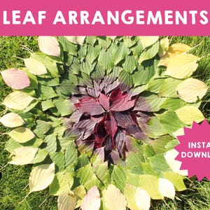 May include: A circular arrangement of leaves in shades of green, yellow, and red, creating a radial pattern. The leaves are arranged in a spiral, with the darkest red leaves in the center and the lightest yellow leaves on the outer edge. The leaves are set against a background of green grass.