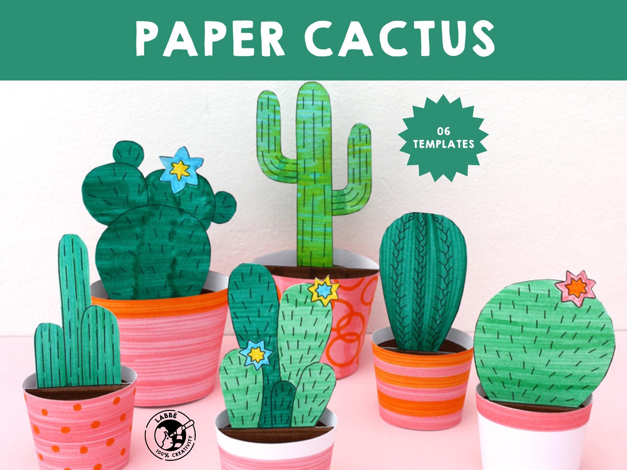 gehirn kaktus kaufen Cereus forbesii spiralis main image 0