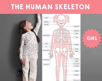 The Human Skeleton - Girl | Life-Size Poster | DIY Anatomy Activity | Educational Learning Project