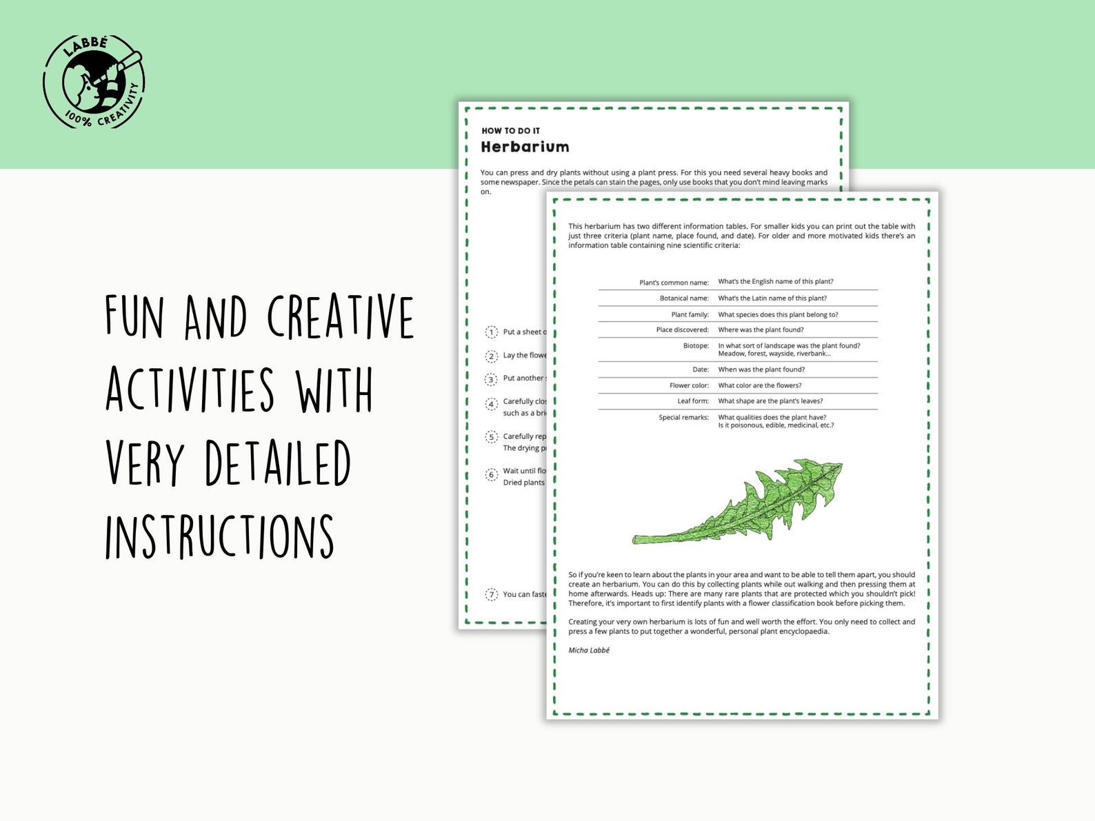 Herbarium | DIY Plant Collection | Printable Herbarium Sheets | Nature ...