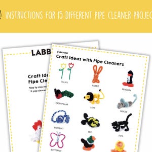 May include: A printable sheet with instructions for 15 different pipe cleaner craft projects. The sheet includes images of the finished projects, such as a caterpillar, a lion, a mouse, a bee, a dog, a butterfly, and a bracelet.