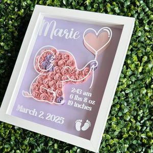 Baby Girl Information Shadow Box, Baby Shadow Box, Gift for New Mom, Baby Animal Shadow Box, Baby Memories, Newborn Gift, Newborn Baby Box