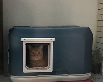 outdoor cat pod