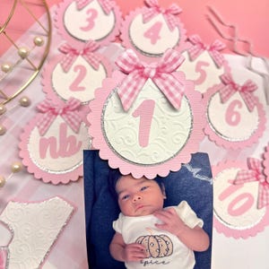 Bow Milestone Banner, Bow Birthday Banner, Pink Bow Birthday Party Decor, Bow Milestone Signs, Bow Milestone Photo Banner, Monthly Milestone