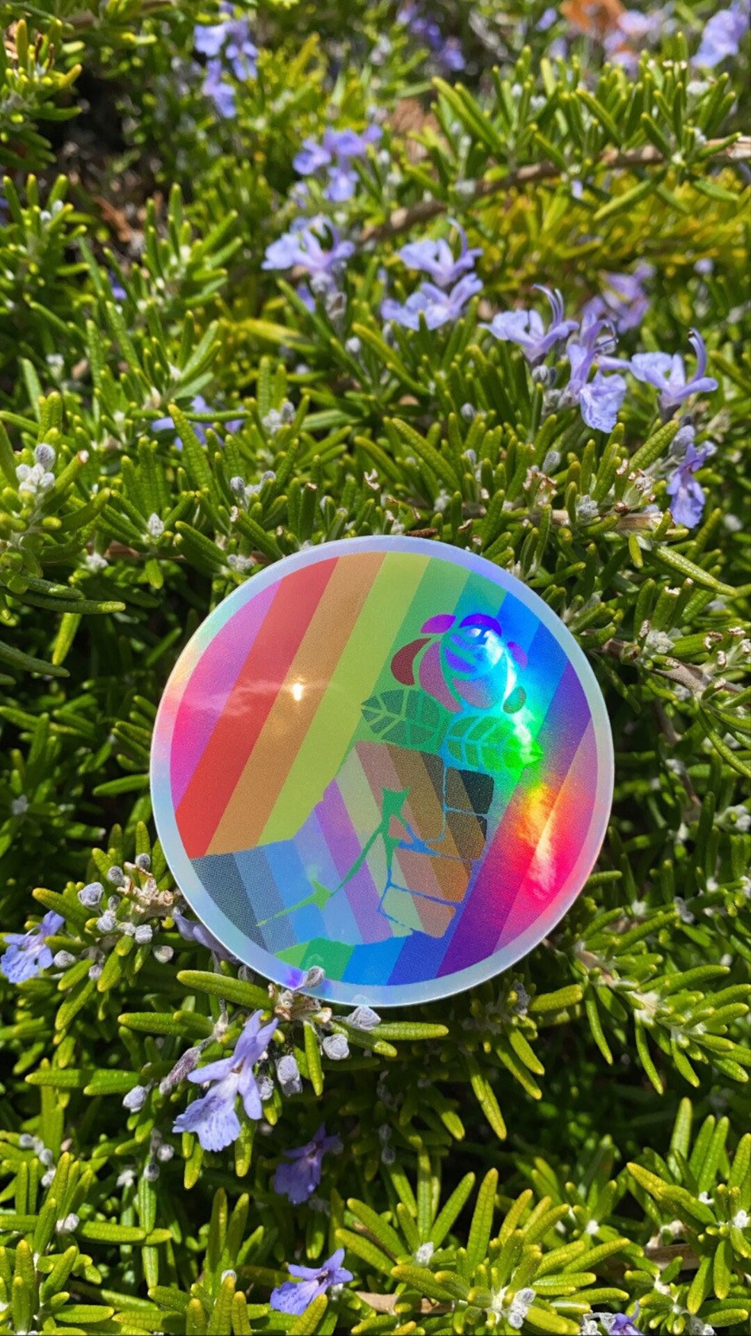 Bread and Roses Socialist BIPOC Trans Queer Gay Lesbian Pride Sticker