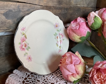 Vintage Homer Laughlin Virginia Rose Plate: Scalloped Bread/Dessert Plate