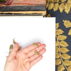 May include: A collection of small, brass-colored charms in various shapes, including snails and other organic forms, are displayed against a white background. The charms are held in a hand. A dark blue fabric with gold leaf designs is visible in the background.