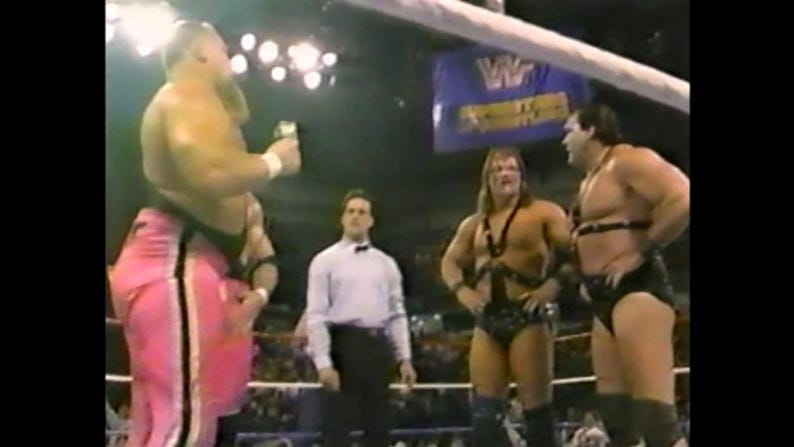 wwf-1990-superstars-season-dvd-disc-lot-free-shipping-etsy