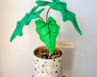 Handmade Felt Alocasia Jacklyn | Felt Plant | Felt Potted Plant | Handmade Plant | Handmade Felt Plant