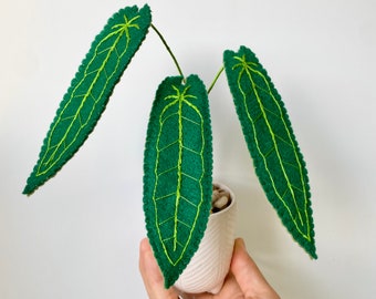 Handmade Felt Alocasia Warocqueanum Plant | Handmade Felt Plant | Felt Plant | Handmade Plant | Handmade Alocasia | Alocasia Warocqueanum