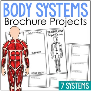 HUMAN BODY SYSTEMS Research Brochure Activity Projects | Science Printables | Anatomy Worksheets | Homeschool | Biology Life Science
