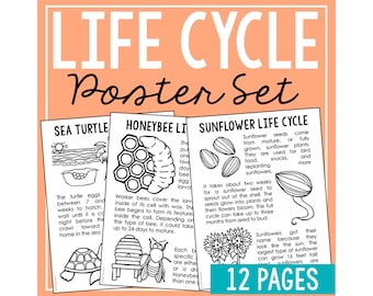 Life Cycles Science Posters for Kids | Homeschool Elementary Science Worksheet Printables | Bulletin Board Decor