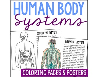 HUMAN BODY SYSTEMS Coloring Pages Activity | Science Printables | Anatomy Worksheets | Homeschool Curriculum | Biology Life Science