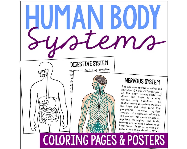 Anatomy for Kids Coloring Pages | Homeschool Human Body Systems Science ...