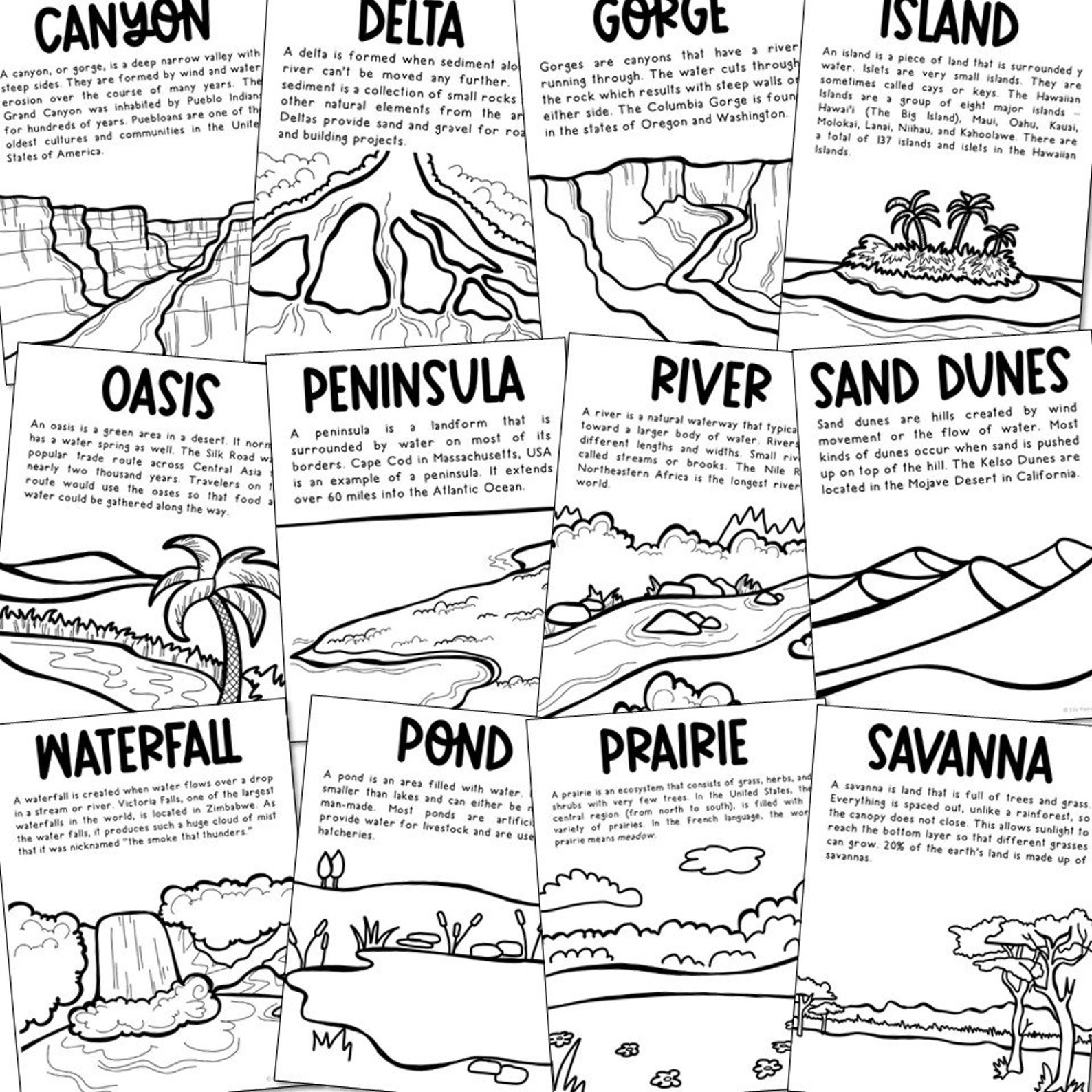 BIOMES AND LANDFORMS Coloring Page Book Printables Homeschool | Etsy