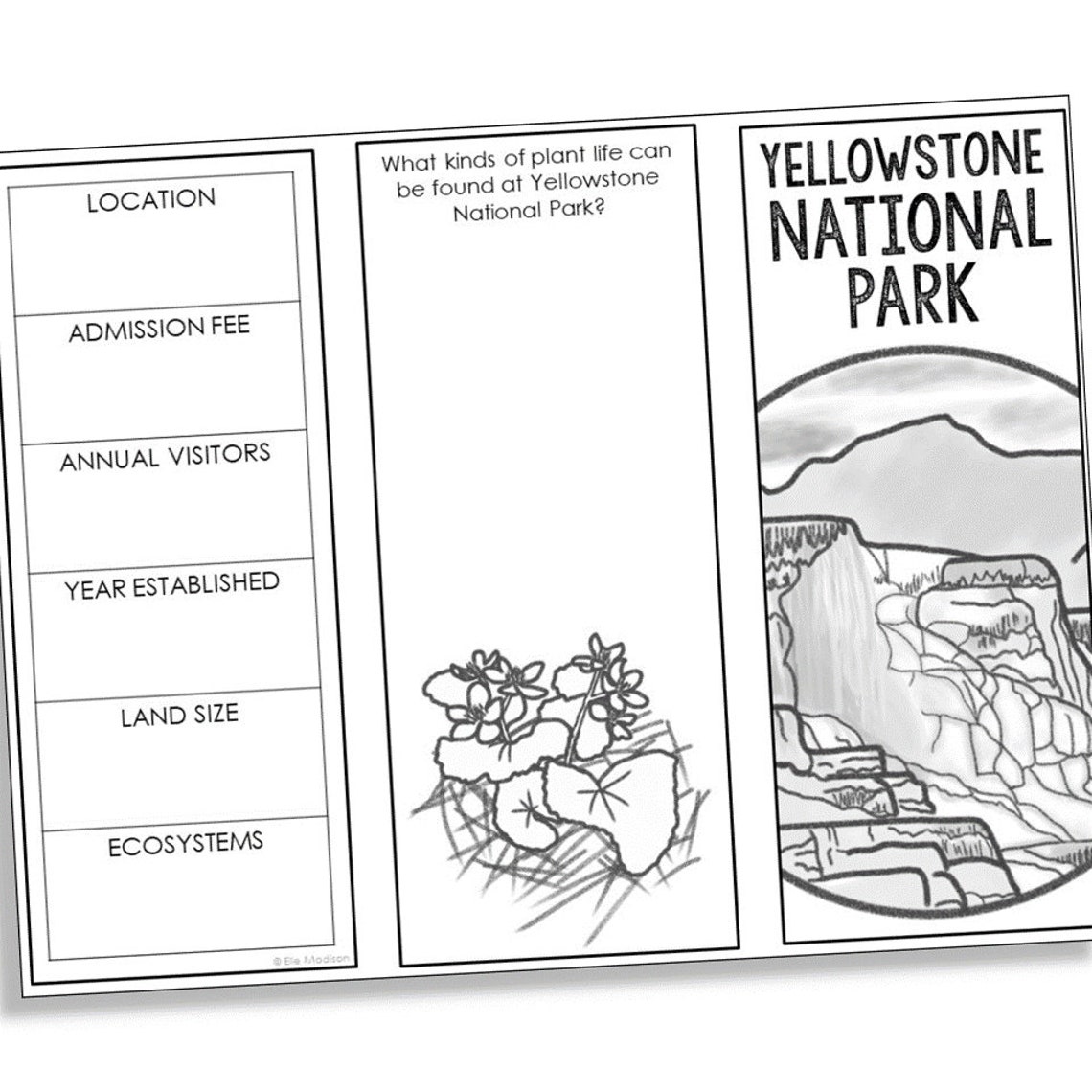 National Parks Research Brochure Projects Social Studies Etsy