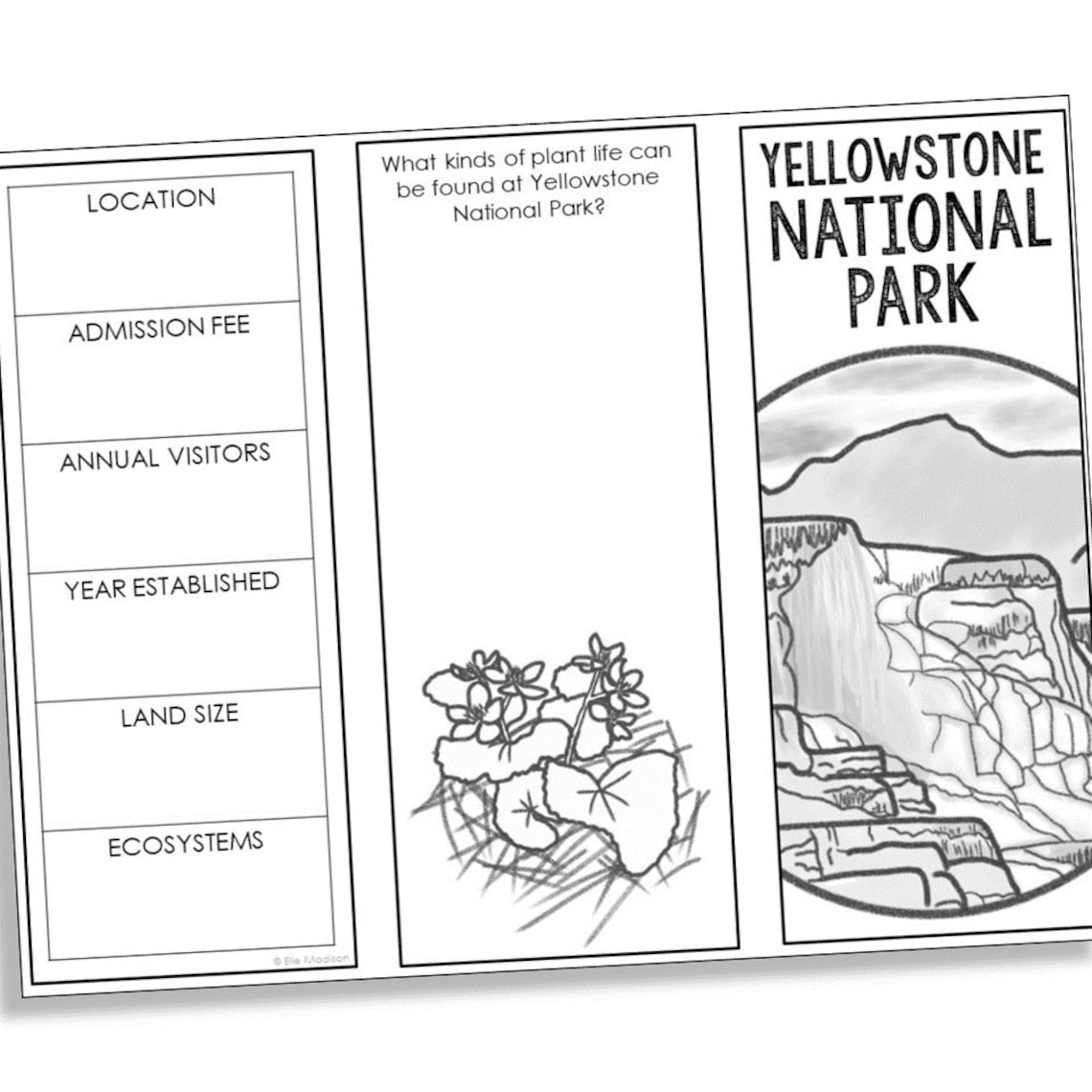 National Parks Research Brochure Projects Social Studies Etsy