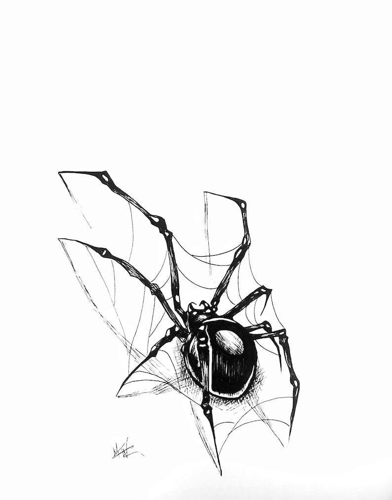 Spider Portrait - Etsy